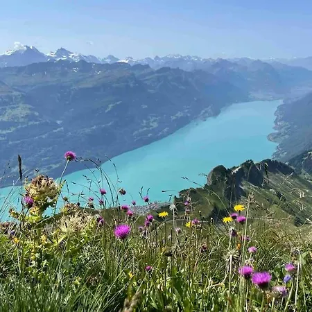 Romantic Swiss Alp With & Mountains