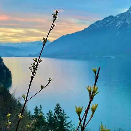 Romantic Swiss Alp With & Mountains Apartment Iseltwald