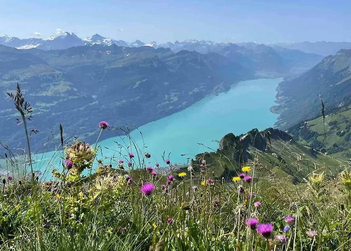 Romantic Swiss Alp With & Mountains