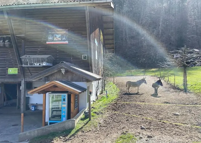 Romantic Swiss Alp With & Mountains Apartment Iseltwald
