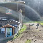 Romantic Swiss Alp With & Mountains Διαμέρισμα Iseltwald