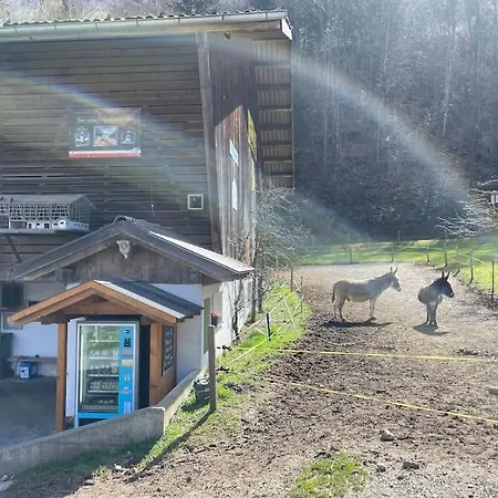 Romantic Swiss Alp With & Mountains Apartmán Iseltwald